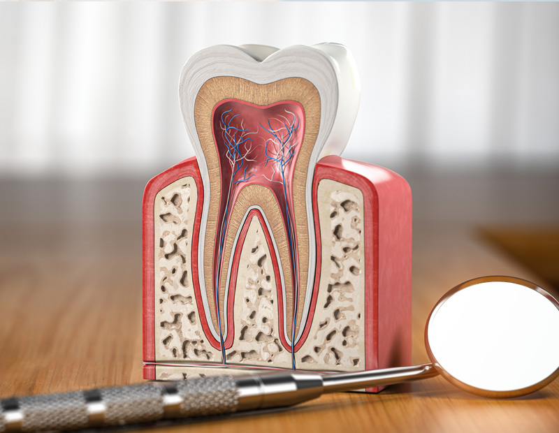 Diş Eti Tedavisi Bursa
